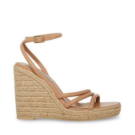 Zapatos Cuña Steve Madden Taylor Mujer Marrones | ES NT21S3